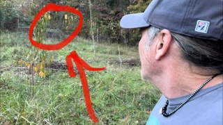 Are These Strange Creatures Caught On Camera The Reason For The Most Recent Alien Abductions?