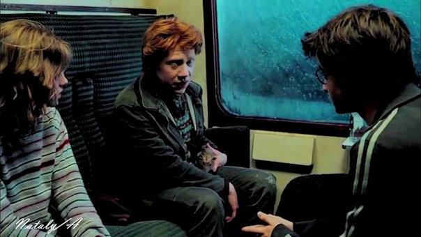 Harry Potter, We are