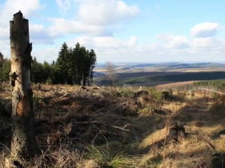 Equilibrium - Nordheim