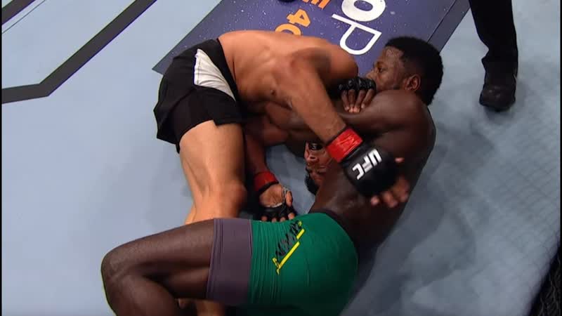 Top 5 Finishes from UFC Greenville