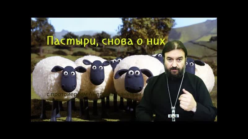 Про пастырей, снова о Протоиерей Андрей