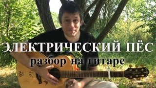 Антон Мизонов - разбор акустического кавера Аквариум - Электрический пёс