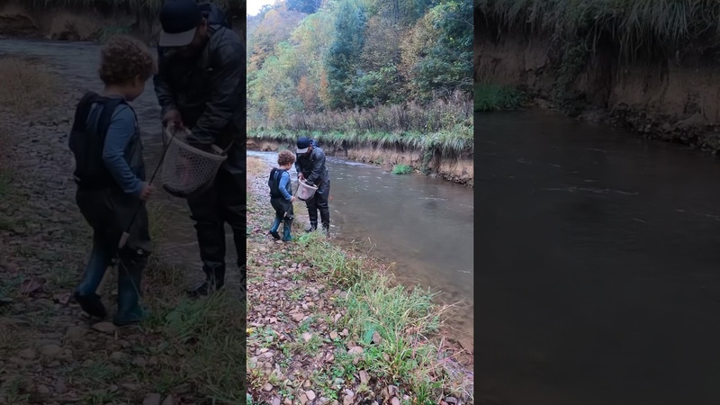 My son s HILARIOUS Trout catch , fishinglife, trout, troutfishing,