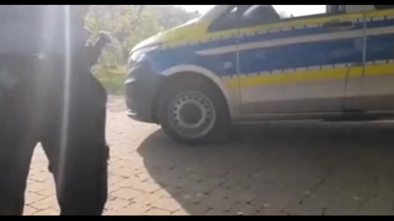 Видео от Deutscher