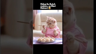 Yummy  #funny #catcomedy #cat #funnycats #funnyvideo #shorts