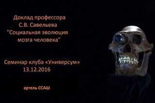 Доклад С.В. Савельева “Социальная эволюция мозга“