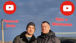 Звезды сошлись, встреча двух блогеров YouTube, они настоящие.