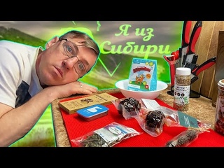 Обзор Чай Саган Дайля Сибирская медовая шишка и много Алтайских ништяков