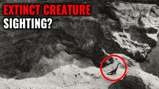 Extinct Animals That Could Still Be Around