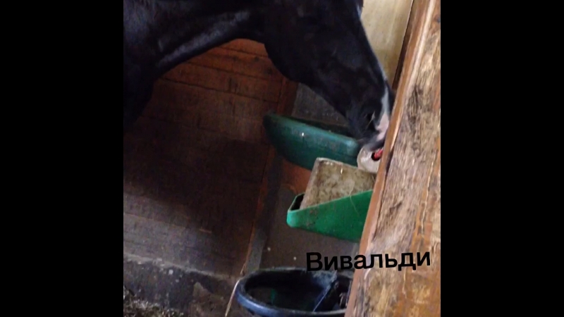 Пожирание