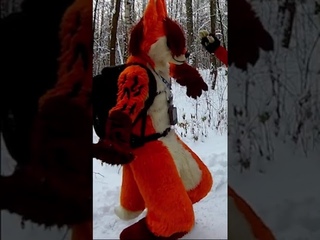 ТАНЕЦ КИЦУНЕ #furry #fursuit #fursuiters #фурри #фуррифандом #фурсьют #фурсьютер