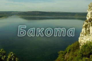 Бакота. Автор Сергій Білецький