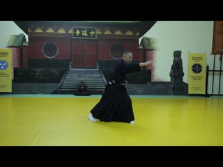 Sekiguchi Soke - Bangai no bu sanbon Kempo-Jutsu. MJER