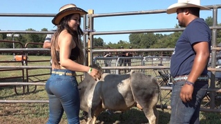 😍 La Chica De Guatemala! No La Aguanto El Toro!😳