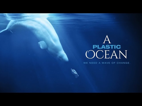A Plastic Ocean Official