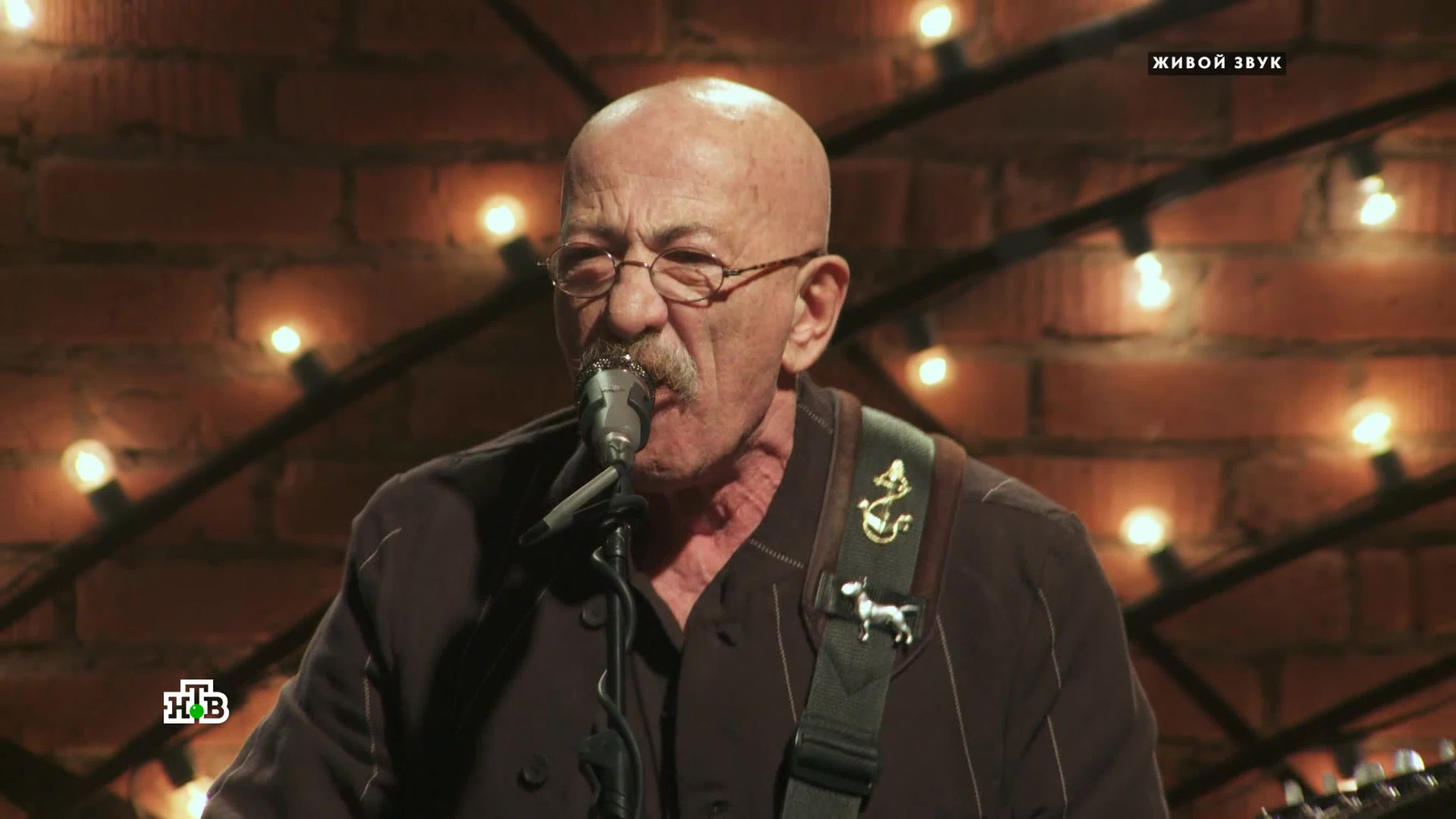 Брат розенбаума. Розенбаум юбилей 60 лет. Розенбаум юбилей 60 лет. Целая жизнь розенбаум. Розенбаум брат мой у тебя сегодня.