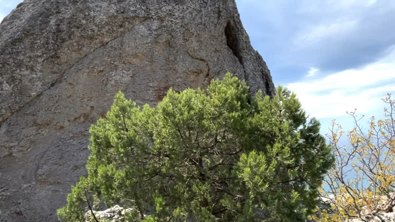 Corde oblique Venti di