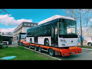 Автобусы LOTOS 105 для города Братск.