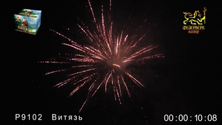 Р 9102 ВИТЯЗЬ 1,2’ х 49