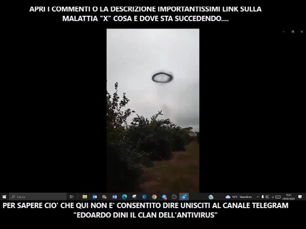 ARGENTINA UN ALTRO STRANISSIMO SCIAME DI ZANZARE INFETTE MI ARRIVA UN VIDEO