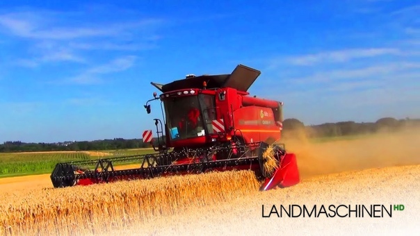 Case IH Axial Flow 6130 Weizenernte