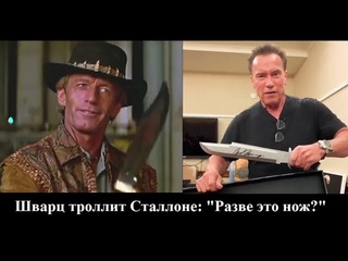 Шварценеггер троллит Сталлоне: Разве это нож. #Юмор