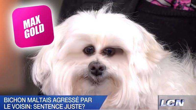 LA PIRE É PISODE de DENIS LÉ VESQUE À VIE Son VOISIN COUCHE avec SON