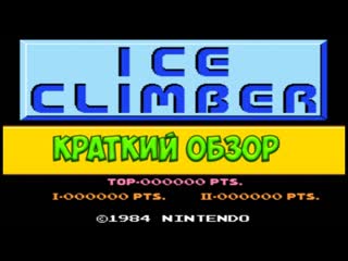 Ice Climber - краткий обзор игры