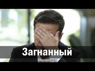 2. А. Урсида. Загнанный