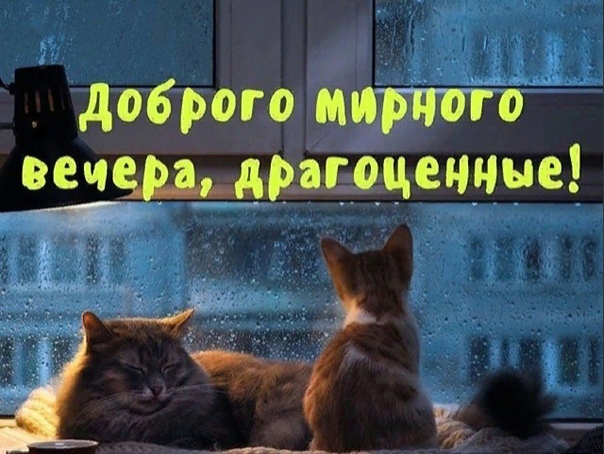 Кафе "У пани Сони"