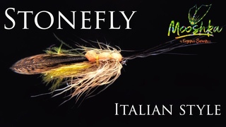 Stonefly / Веснянка