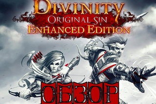 Небольшой обзор Divinity: Original Sin - Enhanced Edition