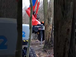 Dannenrder Waldbesetzung: Polizei hat Mensch aus 2 Metern Hhe v. Kran gezogen und 2 mal zugetreten