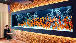 Private Tour of WORLD’S *BEST* Discus AQUARIUM!