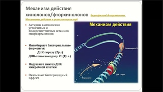 Антибактериальные средства  синтетические противомикробные средства