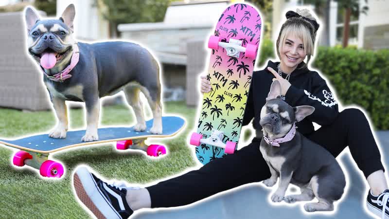 Just Me Teaching My Dog To