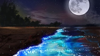 Msica Para Dormir Bien y Calmar la Mente - Mar y Luna Relajante - Msica Tranquila para Dormir