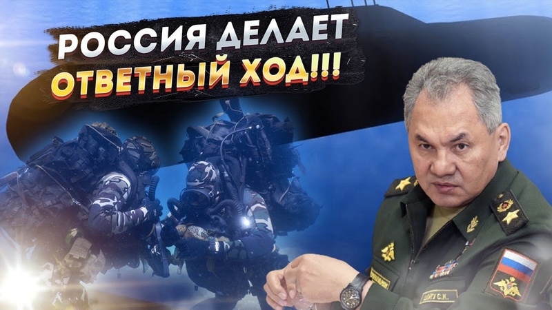 Россия делает свой ход НАТО начинает подвывать от