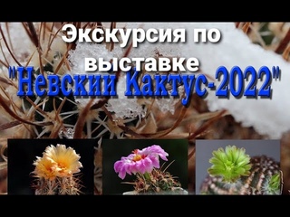 ВЫСТАВКА КАКТУСОВ В САНКТ-ПЕТЕРБУРГЕ / НЕВСКИЙ КАКТУС -2022 / ОБЗОР / ЭКСКУРСИЯ