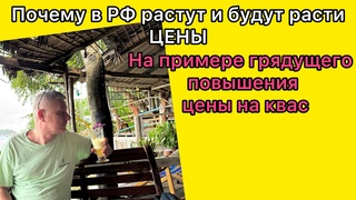 Почему в РФ растут и будут расти цены. На примере грядущего повышения цены на квас