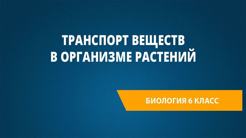 Транспорт веществ в организме