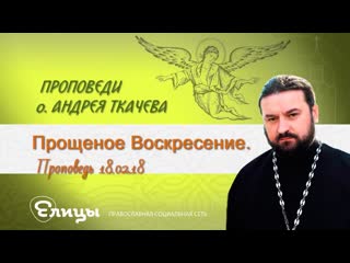 Прощеное Воскресение/Проповедь ./Протоиерей Андрей Ткачев