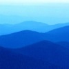 Аватар: Николай Николаевич