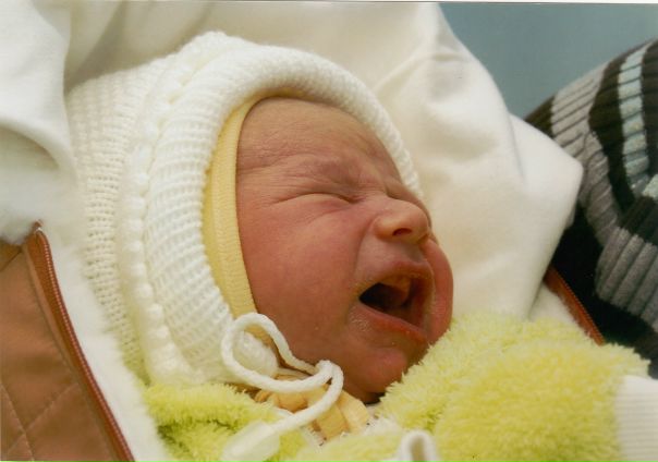 №31, Нинок Павленко №31, Нинок Павленко