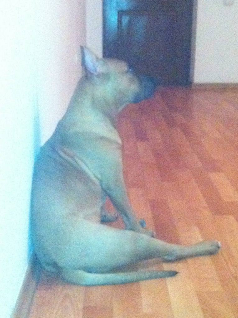 Валентин Быковских | Алматы