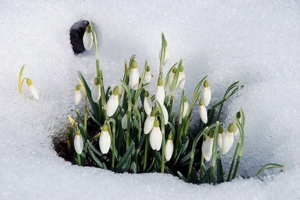 №1, Елена Прекрасная, 99 лет, Санкт-Петербург №1, Елена Прекрасная, 99 лет, Санкт-Петербург