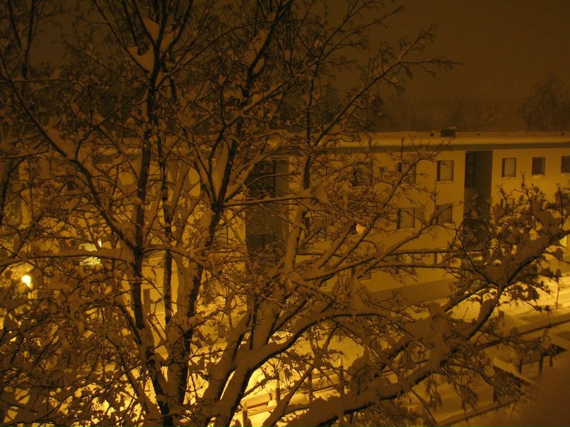 Дамир Ахметшин | Tampere