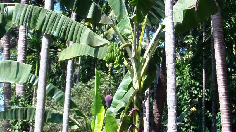 Серёга Нестеров | Уфа