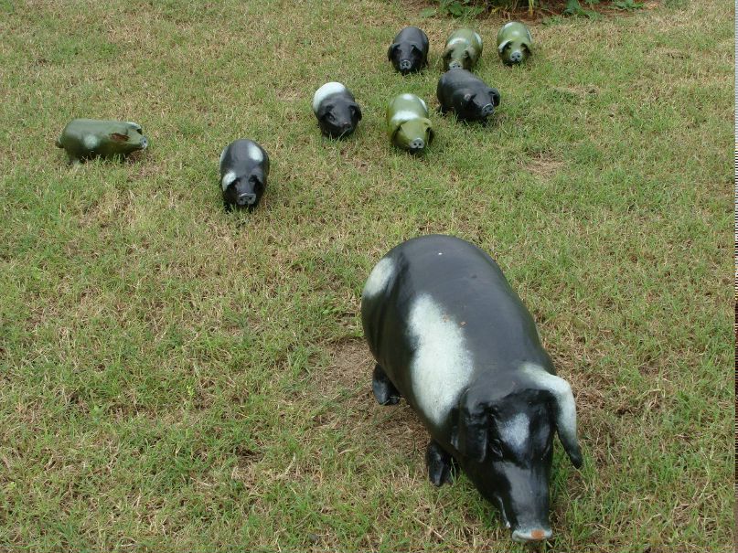 Алексей Бажинов | Toronto