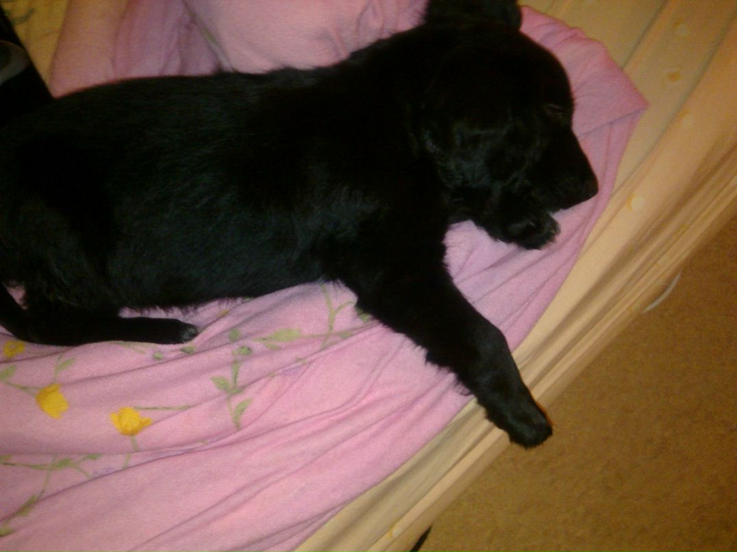 Марина Бобкова-Бессонова | Москва